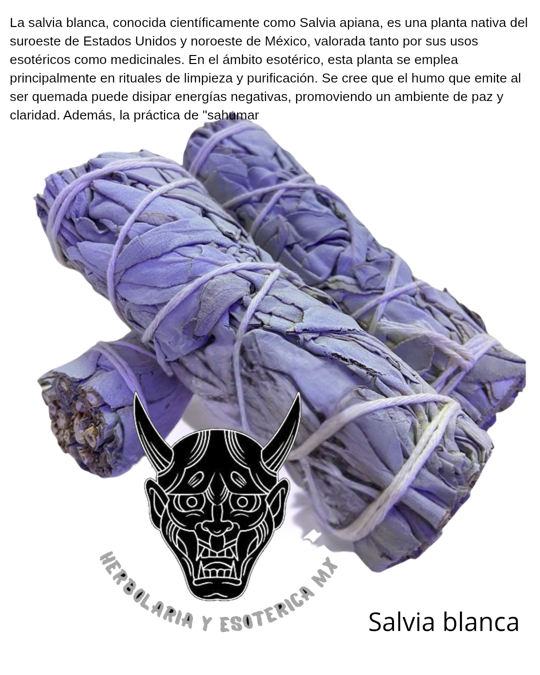 Herbolaria salvia y romero ect.