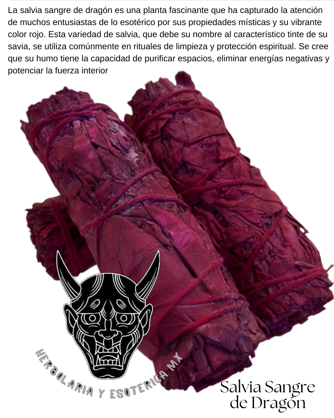 Herbolaria salvia y romero ect.